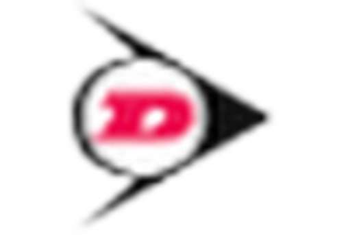 Italy Rubber Molding Market key player