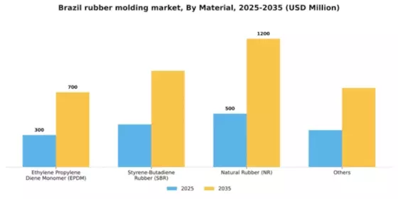 Brazil Rubber Molding Market Segment Image 0