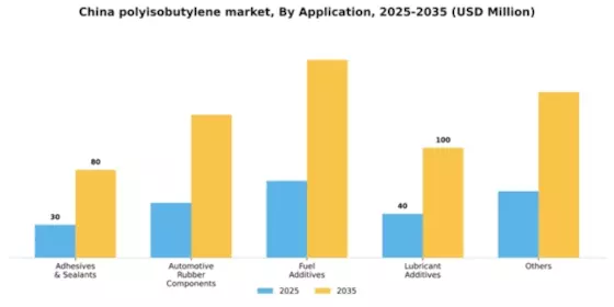 China Polyisobutylene Market Segment Image 0