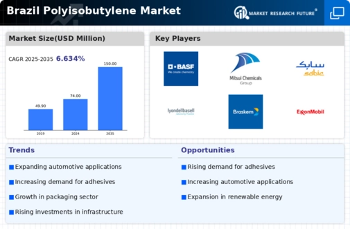 Brazil Polyisobutylene Market Infographic