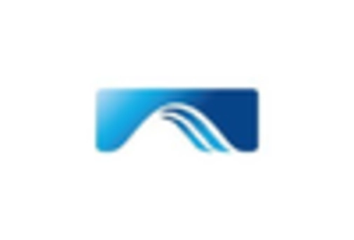 Germany Industrial Rubber Market key player