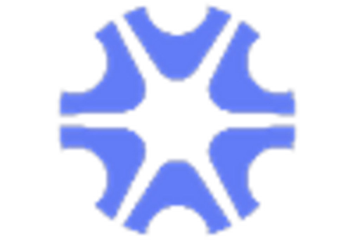 Italy Industrial Rubber Market key player