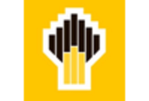 Russia Industrial Rubber Market key player