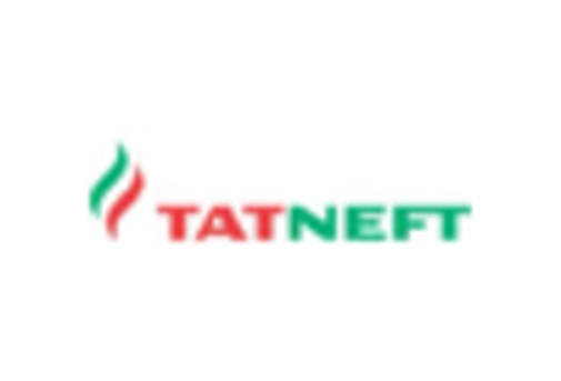 Russia Industrial Rubber Market key player