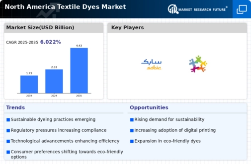 North America Textile Dyes Market Infographic