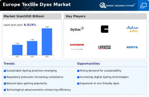 Europe Textile Dyes Market Infographic