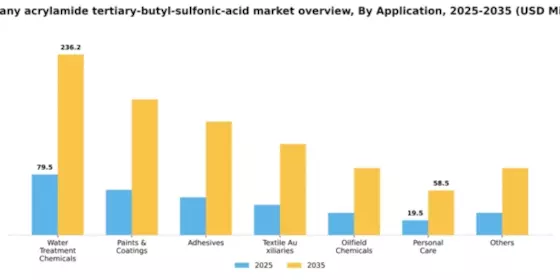 Germany Acrylamide Tertiary Butyl Sulfonic Acid Market Segment Image 0