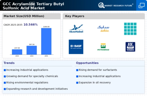 GCC Acrylamide Tertiary Butyl Sulfonic Acid Market Infographic