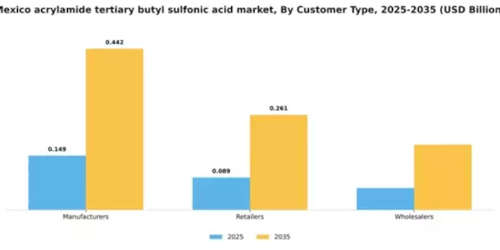 Mexico Acrylamide Tertiary Butyl Sulfonic Acid Market Segment Image 1