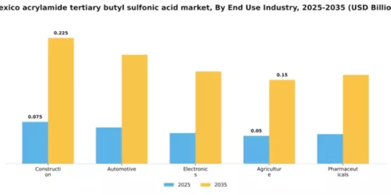 Mexico Acrylamide Tertiary Butyl Sulfonic Acid Market Segment Image 3