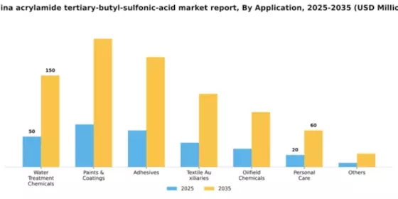 China Acrylamide Tertiary Butyl Sulfonic Acid Market Segment Image 0