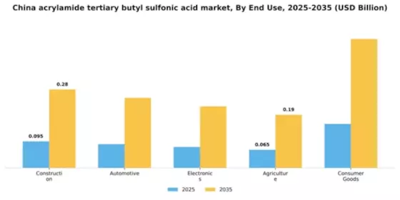 China Acrylamide Tertiary Butyl Sulfonic Acid Market Segment Image 3