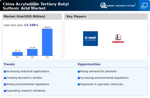 China Acrylamide Tertiary Butyl Sulfonic Acid Market Infographic
