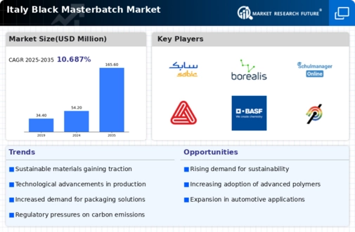 Italy Black Masterbatch Market Infographic