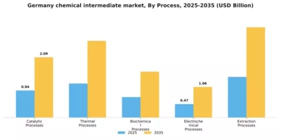 Germany Chemical Intermediate Market Segment Image 3