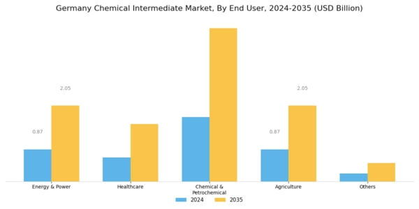 Germany Chemical Intermediate Market Segment Image 1