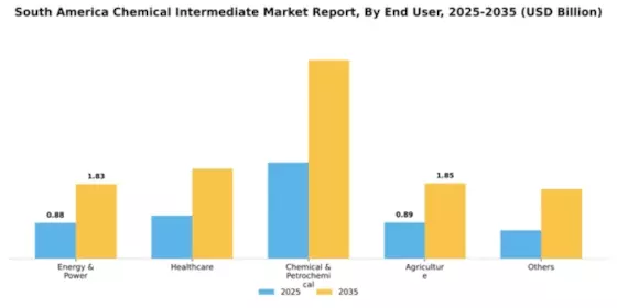 South America Chemical Intermediate Market Segment Image 0