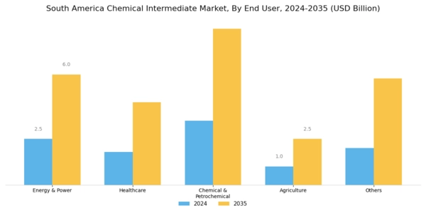 South America Chemical Intermediate Market Segment Image 1