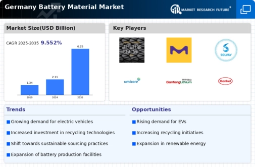 Germany Battery Material Market Infographic