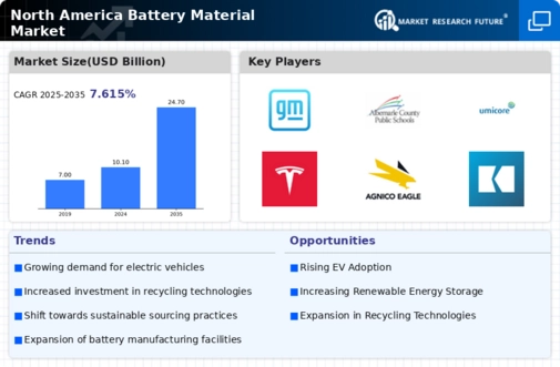 North America Battery Material Market Infographic