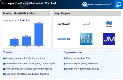 Europe Battery Material Market Infographic