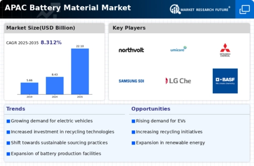 APAC Battery Material Market Infographic