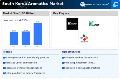 South Korea Aromatics Market Infographic