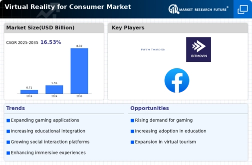 Virtual Reality Consumer Market Infographic