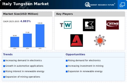 Italy Tungsten Market Infographic