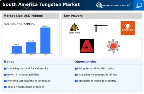 South America Tungsten Market Infographic