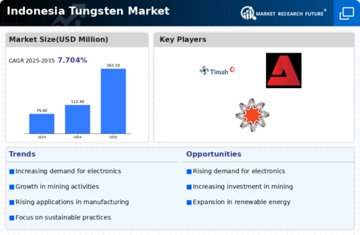 Indonesia Tungsten Market Infographic