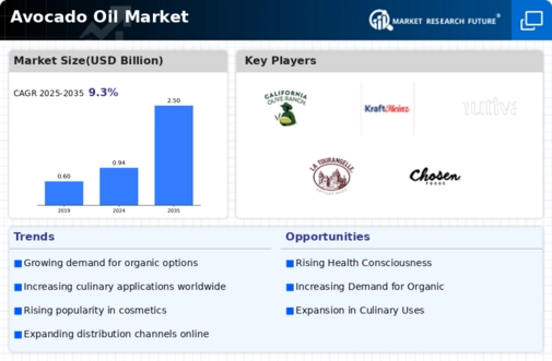 Avocado Oil Market Infographic