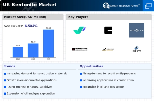 UK Bentonite Market Infographic