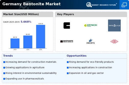 Germany Bentonite Market Infographic