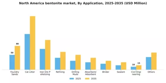 North America Bentonite Market Segment Image 0