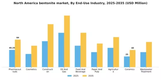 North America Bentonite Market Segment Image 1