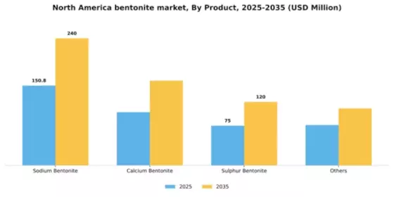 North America Bentonite Market Segment Image 2