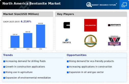 North America Bentonite Market Infographic