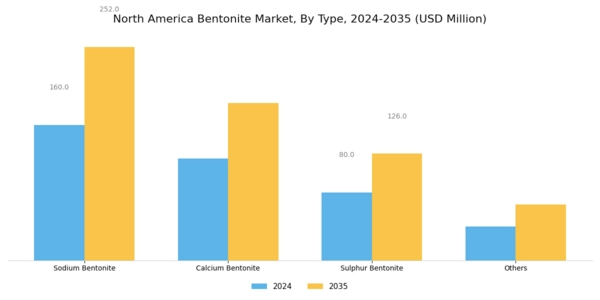 North America Bentonite Market Segment Image 0