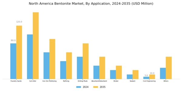 North America Bentonite Market Segment Image 1