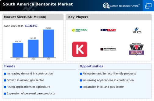 South America Bentonite Market Infographic