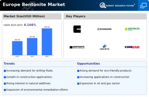 Europe Bentonite Market Infographic