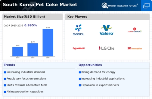 South Korea Pet Coke Market Infographic