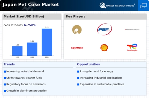 Japan Pet Coke Market Infographic