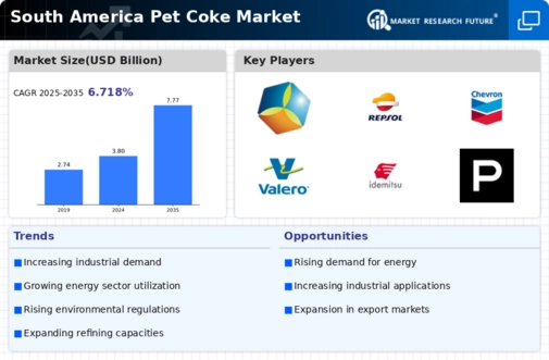 South America Pet Coke Market Infographic