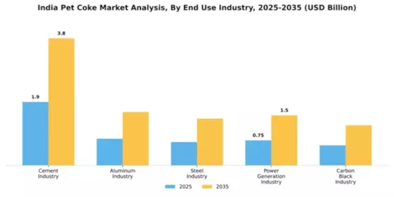 India Pet Coke Market Segment Image 1