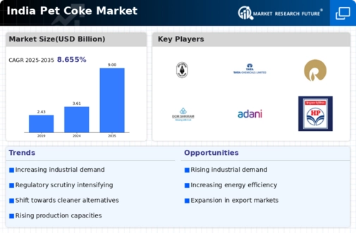 India Pet Coke Market Infographic