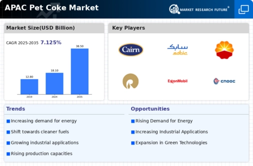 APAC Pet Coke Market Infographic