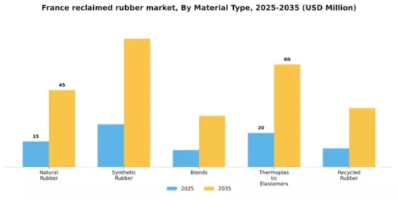 France Reclaimed Rubber Market Segment Image 2