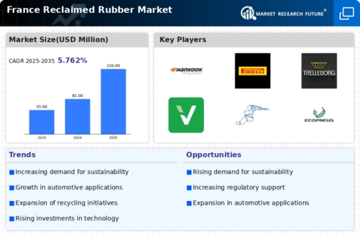 France Reclaimed Rubber Market Infographic